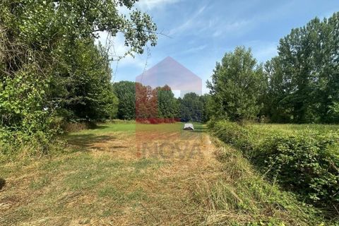 Helårsgrund i Braga, Braga, Braga - € 71.500 | Ref: 08685 - foto 8