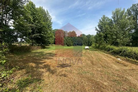 Helårsgrund i Braga, Braga, Braga - € 71.500 | Ref: 08685 - foto 11