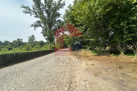 Helårsgrund i Braga, Braga, Braga - € 71.500 | Ref: 08685 - foto 12