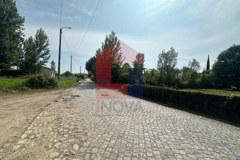 Helårsgrund i Braga, Braga, Braga - € 71.500 | Ref: 08685 - foto 17