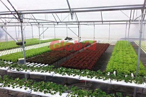Farm i Mangualde, Viseu, Mangualde - € 120.000 | Ref: 189222026 - foto 1