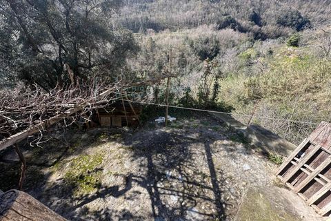 Landejendom i Erli, Savona, Erli - € 70.000 | Ref: 920 - foto 15