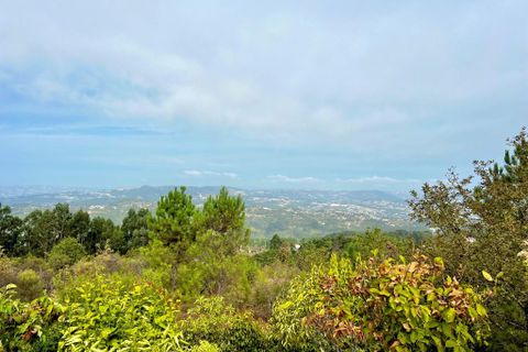 Villa i Amarante, Porto, Amarante - € 330.000 | Ref: 1055 - foto 15