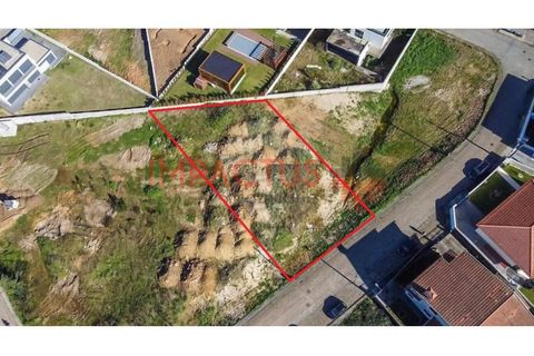Terra a Muro, Porto, Muro - € 90.000 | Ref: TC1650 - foto 3