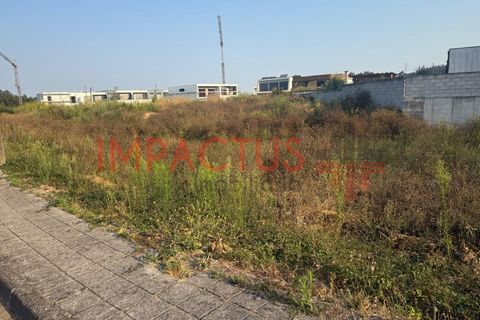 Terra a Muro, Porto, Muro - € 90.000 | Ref: TC1650 - foto 4