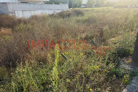 Terra a Muro, Porto, Muro - € 90.000 | Ref: TC1650 - foto 6