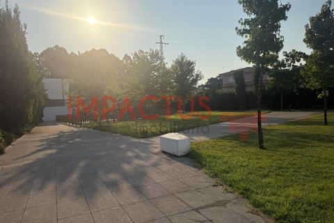 Terra a Muro, Porto, Muro - € 90.000 | Ref: TC1650 - foto 8