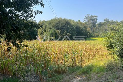 Helårsgrund i Vila Verde, Braga, Vila Verde - € 35.000 | Ref: 01-3607 - foto 2