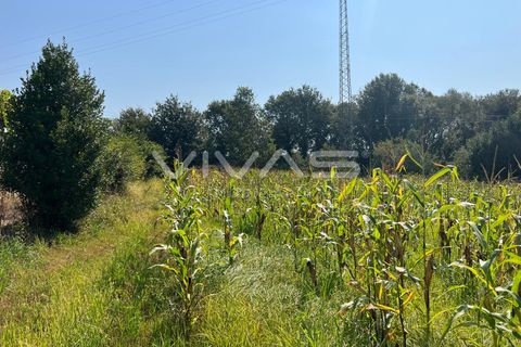 Helårsgrund i Vila Verde, Braga, Vila Verde - € 35.000 | Ref: 01-3607 - foto 3