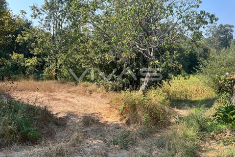 Helårsgrund i Vila Verde, Braga, Vila Verde - € 35.000 | Ref: 01-3607 - foto 5