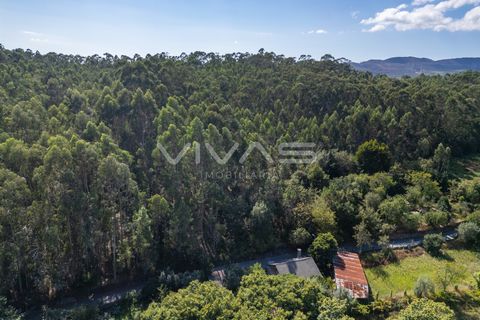 Helårsgrund i Ponte de Lima, Viana do Castelo, Ponte de Lima - € 12.000 | Ref: 01-3672 - foto 1