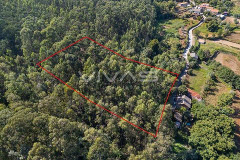 Helårsgrund i Ponte de Lima, Viana do Castelo, Ponte de Lima - € 12.000 | Ref: 01-3672 - foto 2