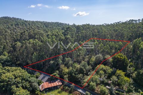 Helårsgrund i Ponte de Lima, Viana do Castelo, Ponte de Lima - € 12.000 | Ref: 01-3672 - foto 3