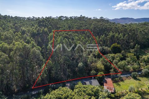 Helårsgrund i Ponte de Lima, Viana do Castelo, Ponte de Lima - € 12.000 | Ref: 01-3672 - foto 5