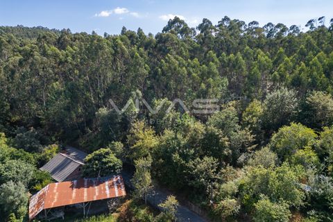 Helårsgrund i Ponte de Lima, Viana do Castelo, Ponte de Lima - € 12.000 | Ref: 01-3672 - foto 6