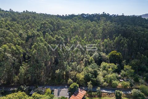 Helårsgrund i Ponte de Lima, Viana do Castelo, Ponte de Lima - € 12.000 | Ref: 01-3672 - foto 7