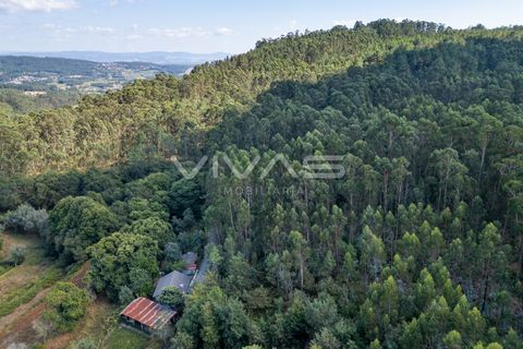Helårsgrund i Ponte de Lima, Viana do Castelo, Ponte de Lima - € 12.000 | Ref: 01-3672 - foto 8