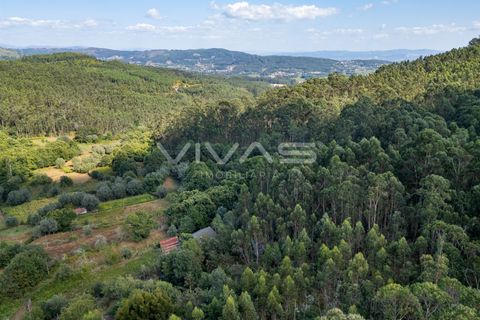 Helårsgrund i Ponte de Lima, Viana do Castelo, Ponte de Lima - € 12.000 | Ref: 01-3672 - foto 9