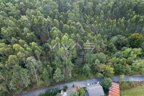 Helårsgrund i Ponte de Lima, Viana do Castelo, Ponte de Lima - € 12.000 | Ref: 01-3672 - foto 10