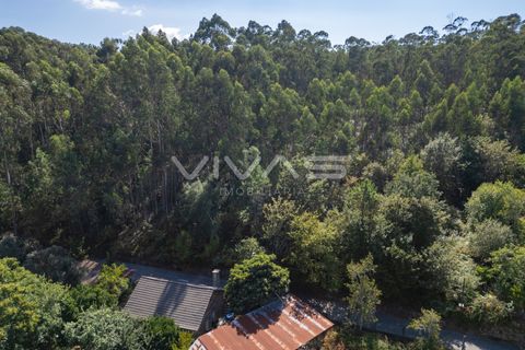Helårsgrund i Ponte de Lima, Viana do Castelo, Ponte de Lima - € 12.000 | Ref: 01-3672 - foto 11