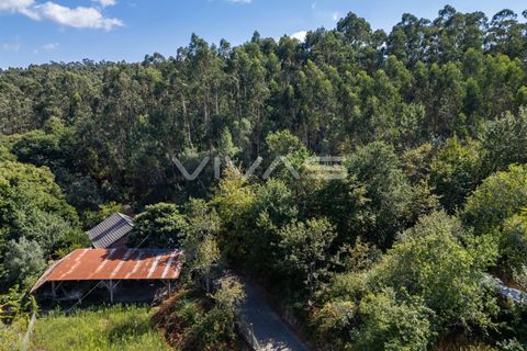 Helårsgrund i Ponte de Lima, Viana do Castelo, Ponte de Lima - € 12.000 | Ref: 01-3672 - foto 12