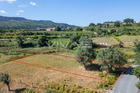 Helårsgrund i Ponte de Lima, Viana do Castelo, Ponte de Lima - € 12.000 | Ref: 01-3673 - foto 2