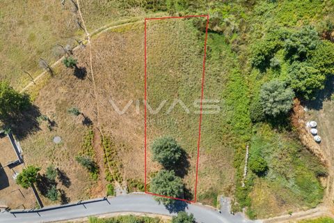 Helårsgrund i Ponte de Lima, Viana do Castelo, Ponte de Lima - € 12.000 | Ref: 01-3673 - foto 3