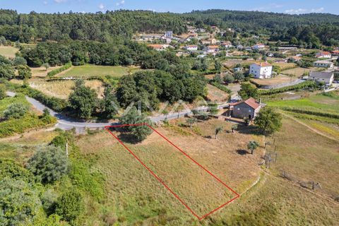Helårsgrund i Ponte de Lima, Viana do Castelo, Ponte de Lima - € 12.000 | Ref: 01-3673 - foto 4