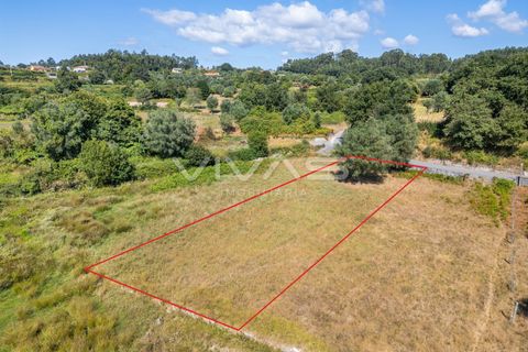 Helårsgrund i Ponte de Lima, Viana do Castelo, Ponte de Lima - € 12.000 | Ref: 01-3673 - foto 5