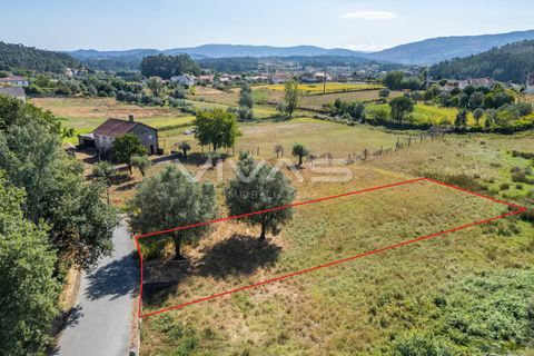 Helårsgrund i Ponte de Lima, Viana do Castelo, Ponte de Lima - € 12.000 | Ref: 01-3673 - foto 6