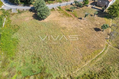 Helårsgrund i Ponte de Lima, Viana do Castelo, Ponte de Lima - € 12.000 | Ref: 01-3673 - foto 7