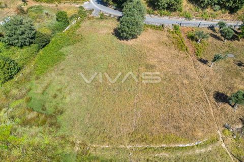 Helårsgrund i Ponte de Lima, Viana do Castelo, Ponte de Lima - € 12.000 | Ref: 01-3673 - foto 8