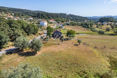 Helårsgrund i Ponte de Lima, Viana do Castelo, Ponte de Lima - € 12.000 | Ref: 01-3673 - foto 10