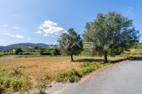 Helårsgrund i Ponte de Lima, Viana do Castelo, Ponte de Lima - € 12.000 | Ref: 01-3673 - foto 11