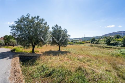 Helårsgrund i Ponte de Lima, Viana do Castelo, Ponte de Lima - € 12.000 | Ref: 01-3673 - foto 12