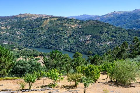 Gård i Ancede e Ribadouro, Porto, Ancede e Ribadouro - € 1 200 000 | Ref: 160/25 - foto 12