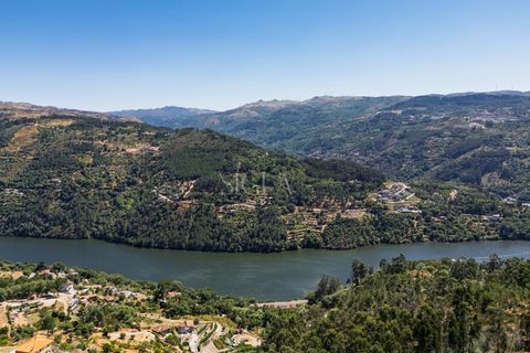 Gård i Ancede e Ribadouro, Porto, Ancede e Ribadouro - € 1 200 000 | Ref: 160/25 - foto 28