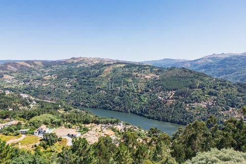 Gård i Ancede e Ribadouro, Porto, Ancede e Ribadouro - € 1 200 000 | Ref: 160/25 - foto 30
