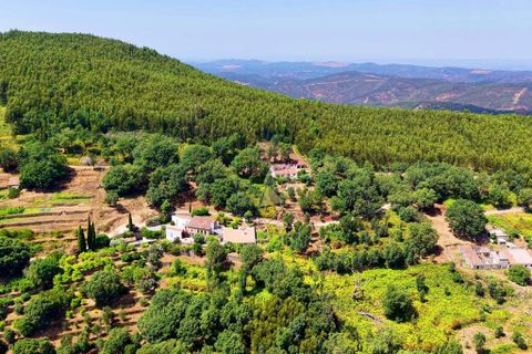 Helårsgrund i Monchique, Faro, Monchique - € 19.000 | Ref: JE033 MO - foto 4