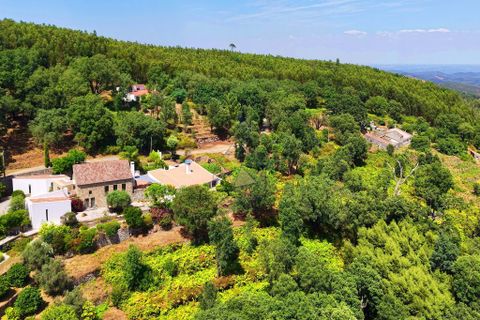 Helårsgrund i Monchique, Faro, Monchique - € 19.000 | Ref: JE033 MO - foto 5