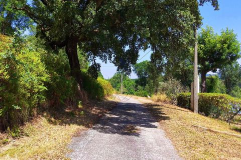Helårsgrund i Monchique, Faro, Monchique - € 19.000 | Ref: JE033 MO - foto 6