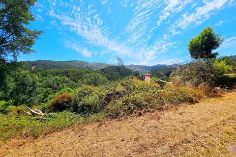 Helårsgrund i Monchique, Faro, Monchique - € 19.000 | Ref: JE033 MO - foto 8