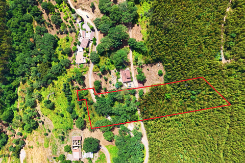 Helårsgrund i Monchique, Faro, Monchique - € 19.000 | Ref: JE033 MO - foto 9