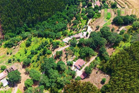 Helårsgrund i Monchique, Faro, Monchique - € 19.000 | Ref: JE033 MO - foto 10