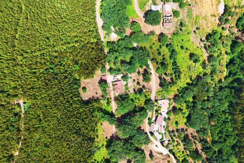 Helårsgrund i Monchique, Faro, Monchique - € 19.000 | Ref: JE033 MO - foto 11