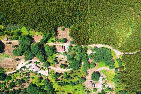 Helårsgrund i Monchique, Faro, Monchique - € 19.000 | Ref: JE033 MO - foto 12