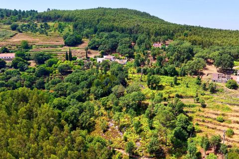 Helårsgrund i Monchique, Faro, Monchique - € 19.000 | Ref: JE033 MO - foto 14