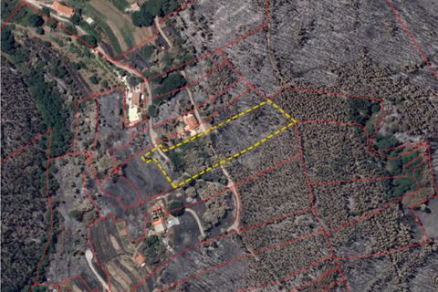 Grond in Monchique, Faro, Monchique - € 19.000 | Ref: JE033 MO - foto 3