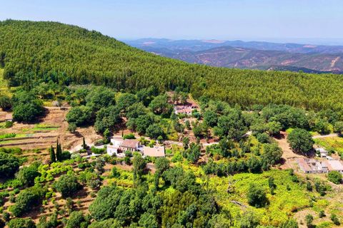 Grond in Monchique, Faro, Monchique - € 19.000 | Ref: JE033 MO - foto 4