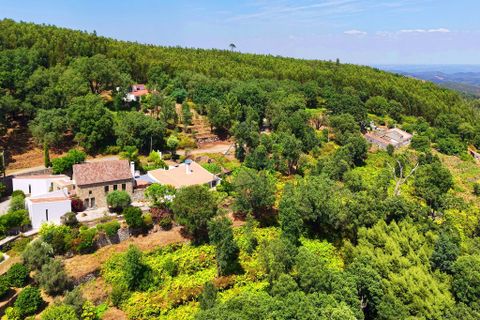 Grond in Monchique, Faro, Monchique - € 19.000 | Ref: JE033 MO - foto 5